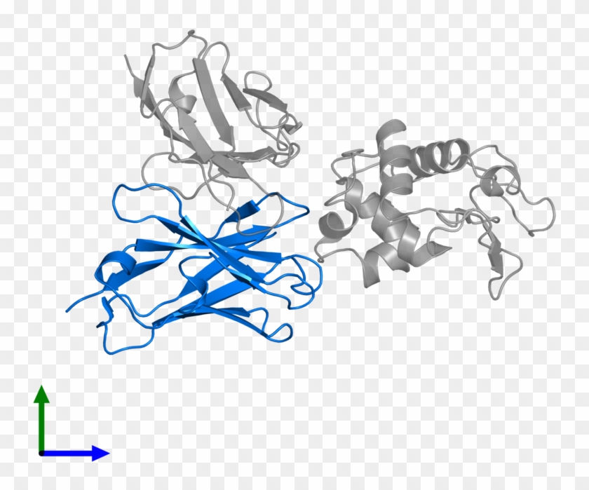 <div Class='caption-body'>pdb Entry 1kip Contains 1 - Graphic Design #1710711