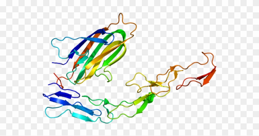Ox40 Protein Source - Ox40 Protein Source #1710717