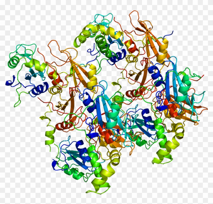 Tyrosine Protein Kinase Syk #1710728