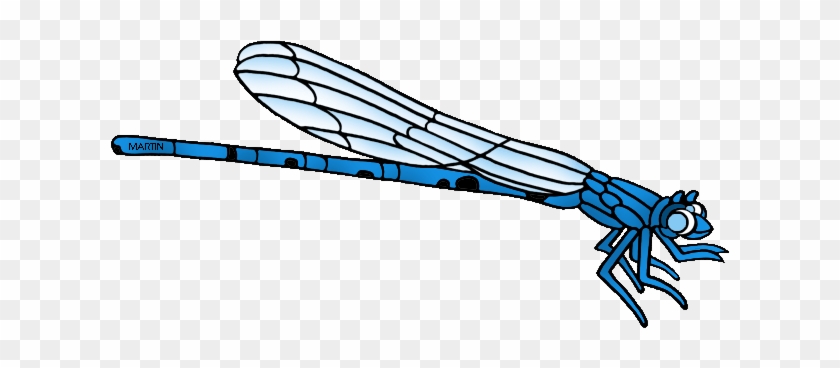 United States Clip Art By Phillip Martin, State Insect - Vivid Dancer Damselfly Drawing #1710733