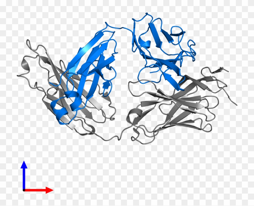 <div Class='caption-body'>pdb Entry 3mlx Contains 1 - Graphic Design #1710743