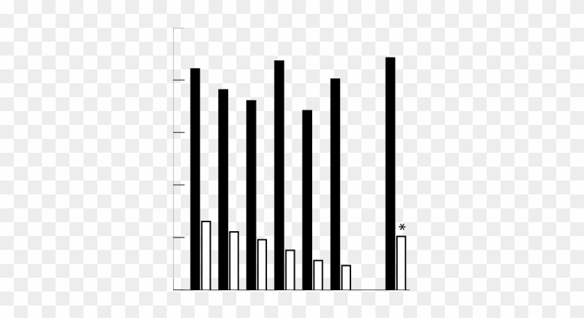 Seroprevalence Of Igg Antibodies Against Vp1/vp2 And - Monochrome #1710749