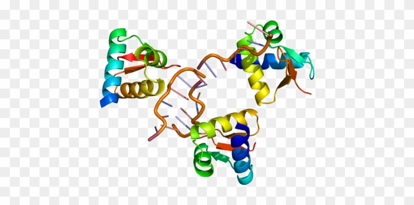 Gene Splicing - Adar Protein #1710783