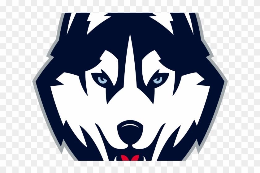 Husky Clipart Washington Huskies - Uconn Husky Logo Png #1710977