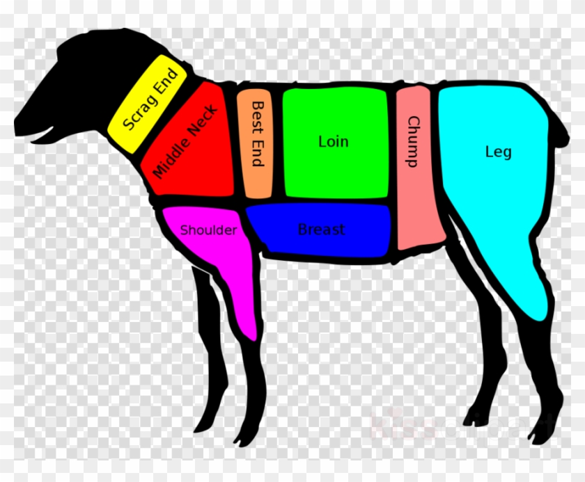 Loin Lamb Clipart Lamb And Mutton Loin Chop - Basic Cuts Of Lamb #1711024