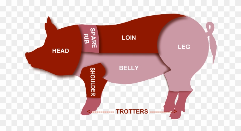 Pork Clipart Pig Butcher - Pig Meat Cuts Uk #1711026