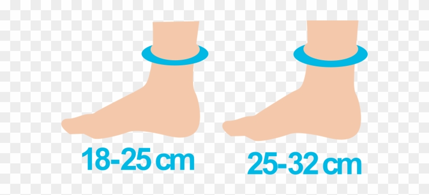 Measure The Ankle Circumference - Measure The Ankle Circumference #1711195