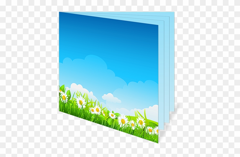 12-panel Booklet - Grass #1711370