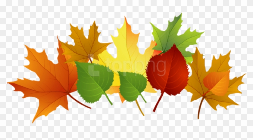 Download Fall Leaves Clipart Png Photo - Fall Leaves Clip Art Png #1711474