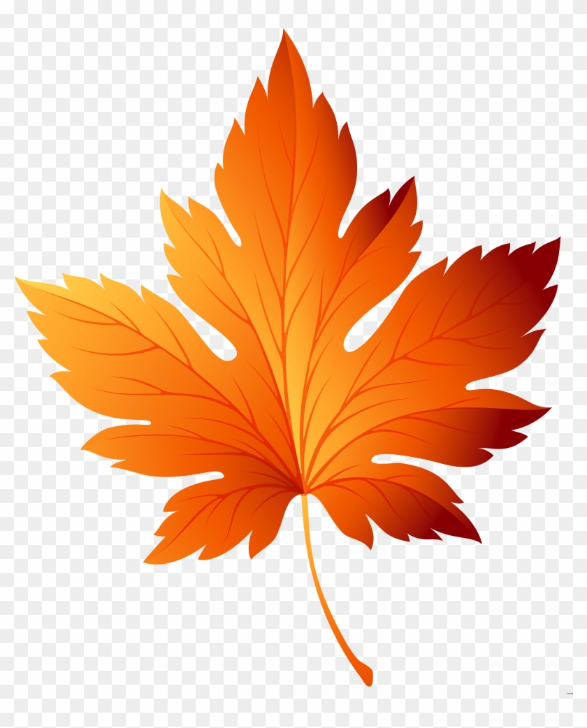 5789 X 6907 2 - Transparent Autumn Leaves Clipart #1711475