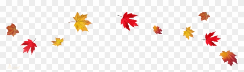 Fall Leaves Transparent Background Clipart Autumn Leaf - Transparent  Background Fall Leaves - Free Transparent PNG Clipart Images Download