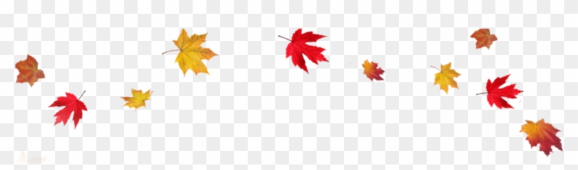 Fall Leaves Transparent Background Clipart Autumn Leaf - Transparent Background Fall Leaves #1711478