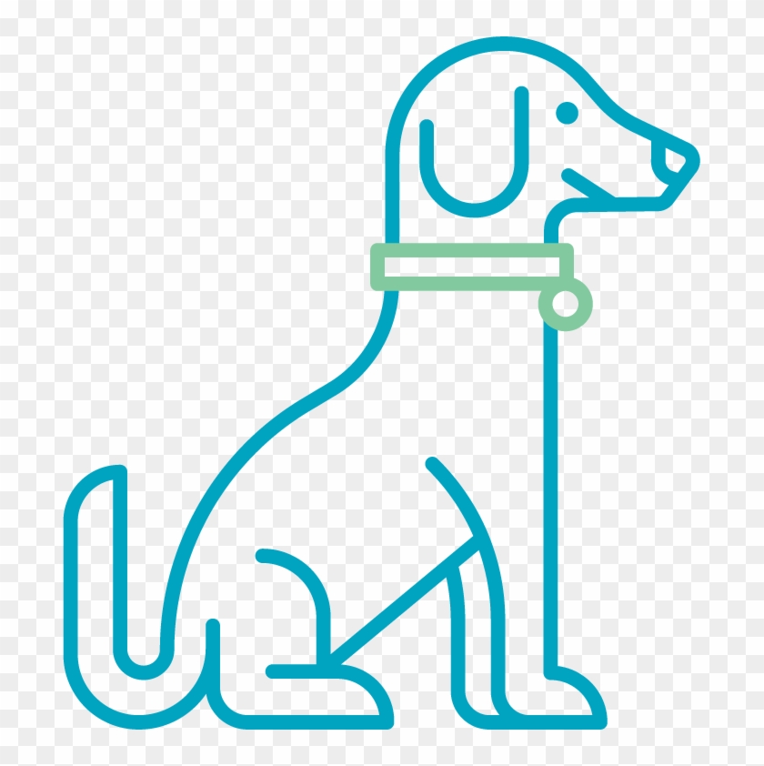 Dog-friendly Office - Dog-friendly Office #1711505