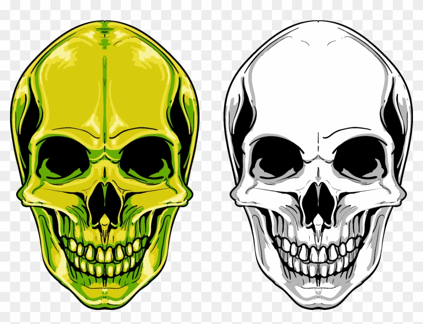 Euclidean Vector Skull Png Free Photo Clipart - Pirates Well Royal Palm Beach #1711577