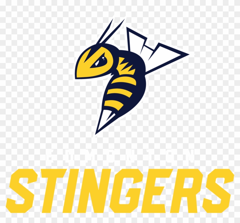 Edmonton Stingers #1711885