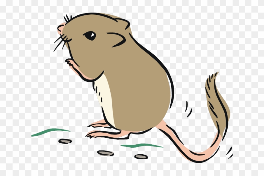 Zodiac Clipart Rat - Kangaroo Rat Clipart #1712068