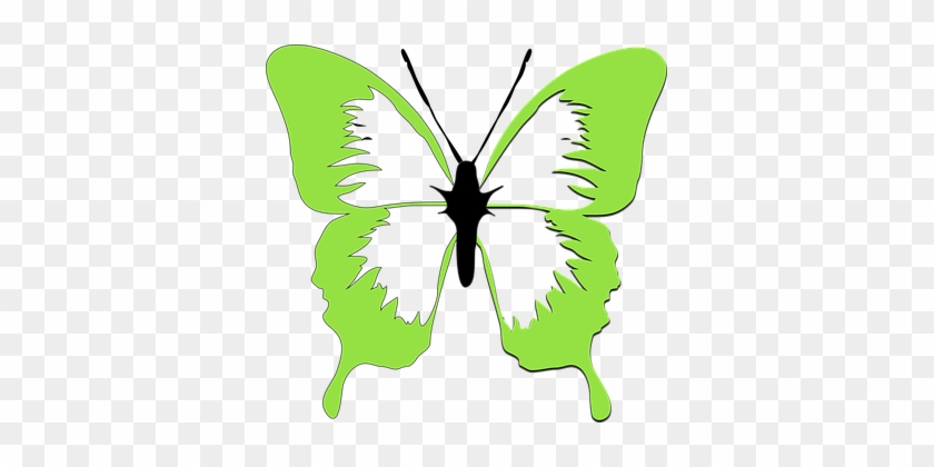 Butterfly, Drawing, Art, Beautiful - Lime Green Butterfly Clip Art #1712478