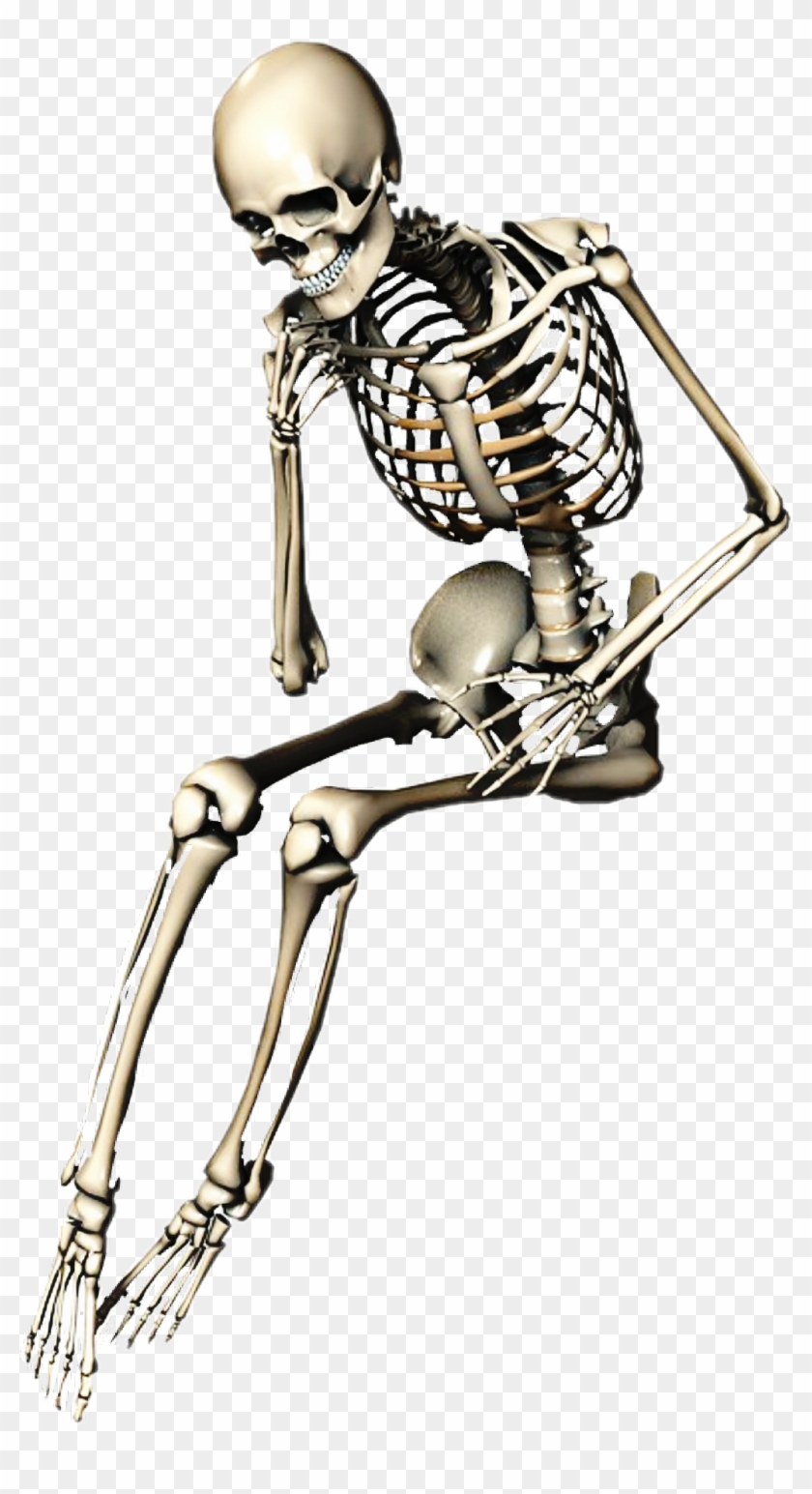 Skeleton Sticker - Skeleton Lying Down Png #1712697
