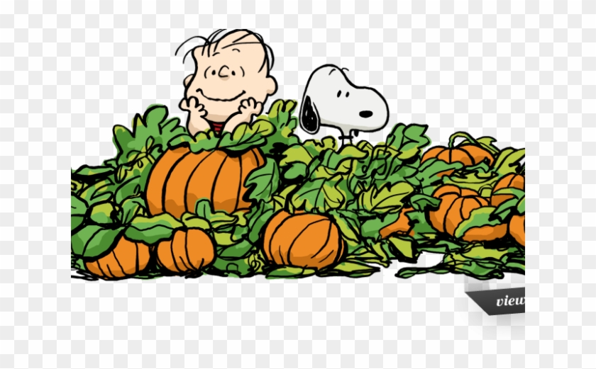 Peanut Clipart Autumn - Great Pumpkin Charlie Brown Clipart #1713128
