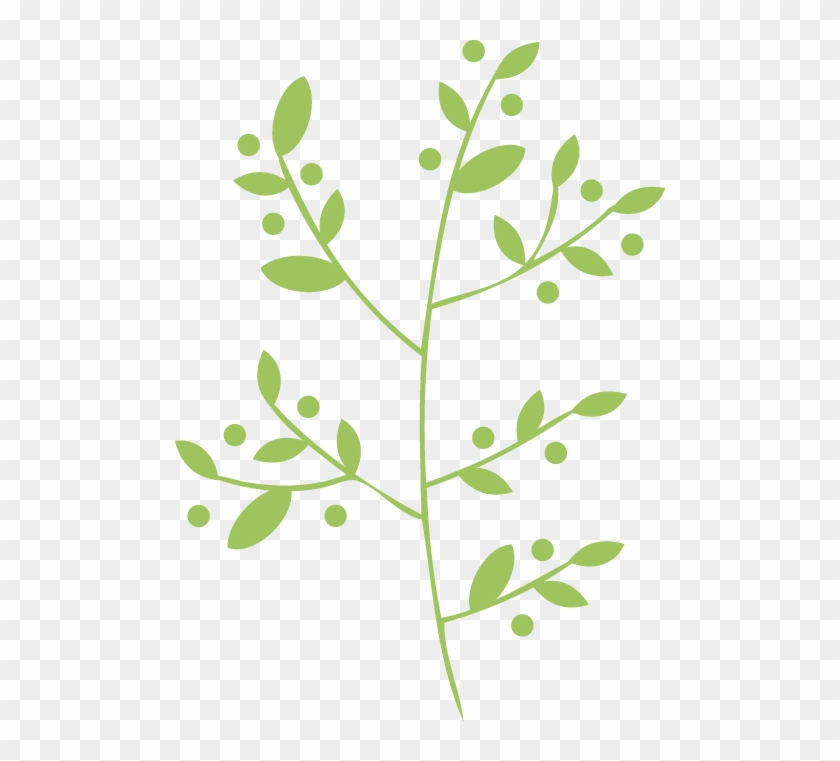 Vector-bottom - Herbs Vector Clipart Png #1713407