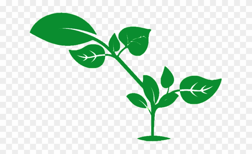 Urban Organic Gardening - Urban Organic Gardening #1713475
