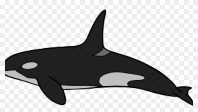 Frightening Shamu Clipart Whale Coloring Book Killer - Killer Whale #1713842