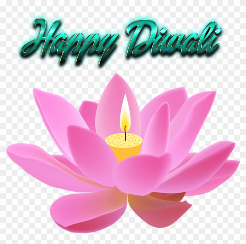 Sacred Lotus #1713988