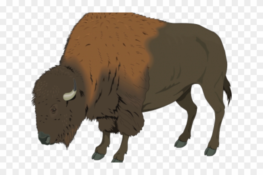 Bison Clipart Plains Indians - Buffalo Clip Art #1713991