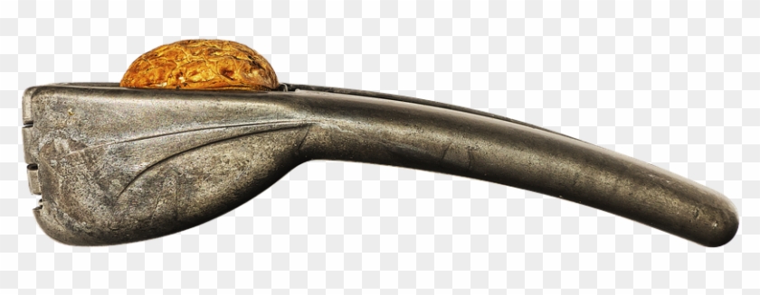 Nutcracker Walnut, Nutshell, Pliers-like - Rifle #1714248