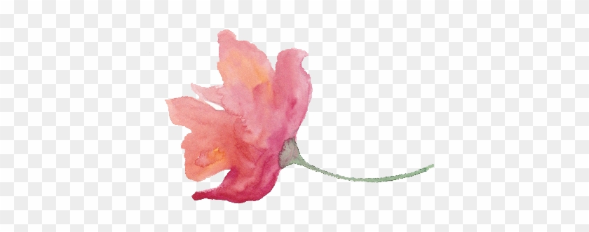 Free Watercolor Floral Texture With Provence Flowers - Flowers Provence Png #1714255