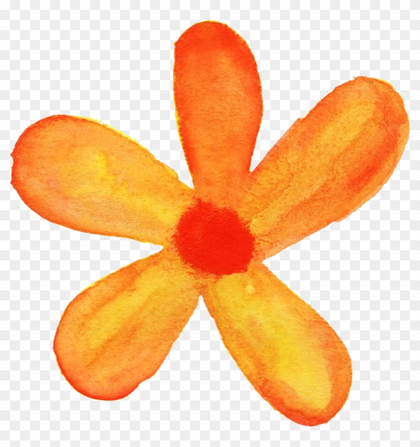962 X 977 31 - Flower Watercolor Orange Png #1714372