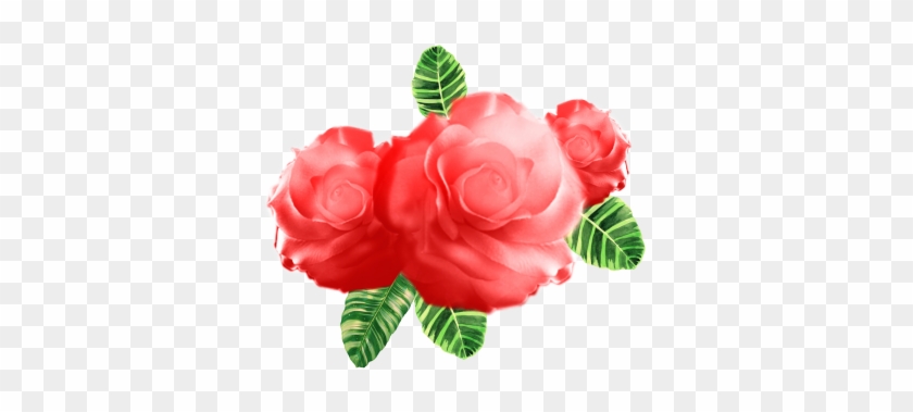 Watercolor Flower Vector, Art, Artistic, Background - Garden Roses #1714374