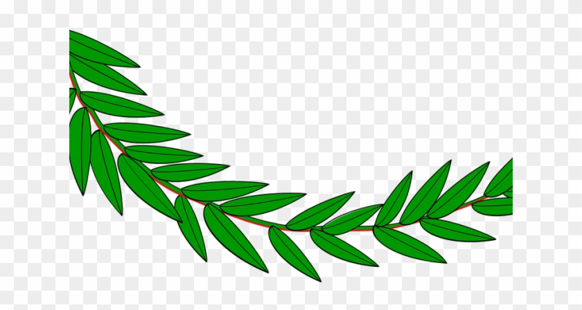 Foliage Clipart Green Laurel - Hoja De Laurel Dibujo #1714499