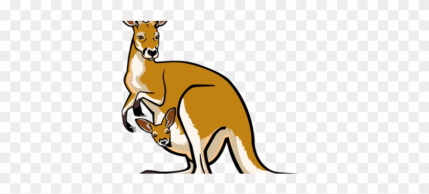 Graphic Free Stock Download Wallpaper Free Australian - Clip Art Kangaroo Png #1714912