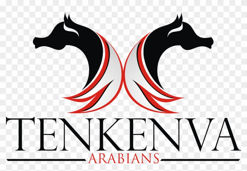 Arabian Horse Logo - Logo Stallion Arabian #1715264