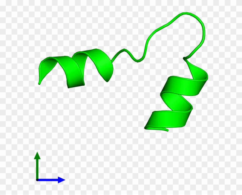 Monomeric Assembly 1 Of Pdb Entry 1g92 Coloured By - Graphic Design #1716014