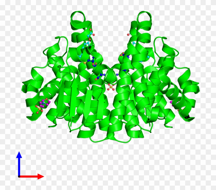 <div Class='caption-body'><ul Class ='image Legend - Protein Data Bank #1716021