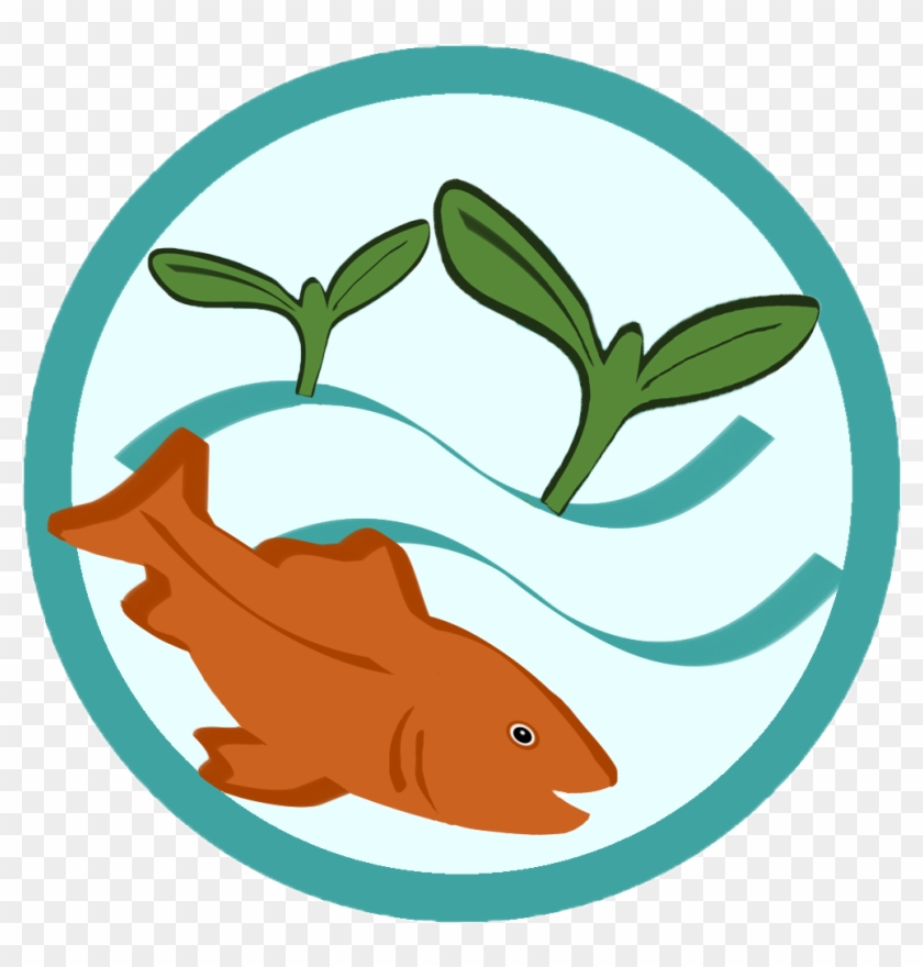 Learn About Aquaponics Grow Fish Plants Together - Aquaponics System Clipart #1716128