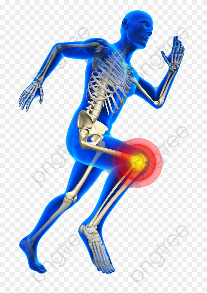 Human Knee Bones Png Clipart - Serviço De Ortopedia E Traumatologia #1716648