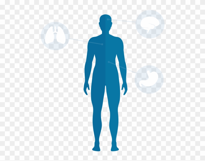 Body Download Png - Human Body Blue Png #1716659