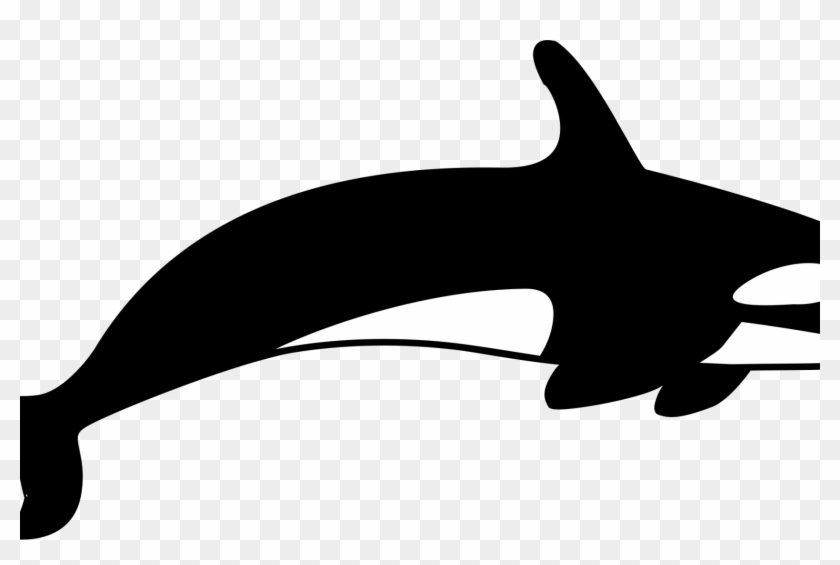 Shamu Whale Clipart Frightening Free Collection Download - Killer Whale Silhouette Transparent #1716673