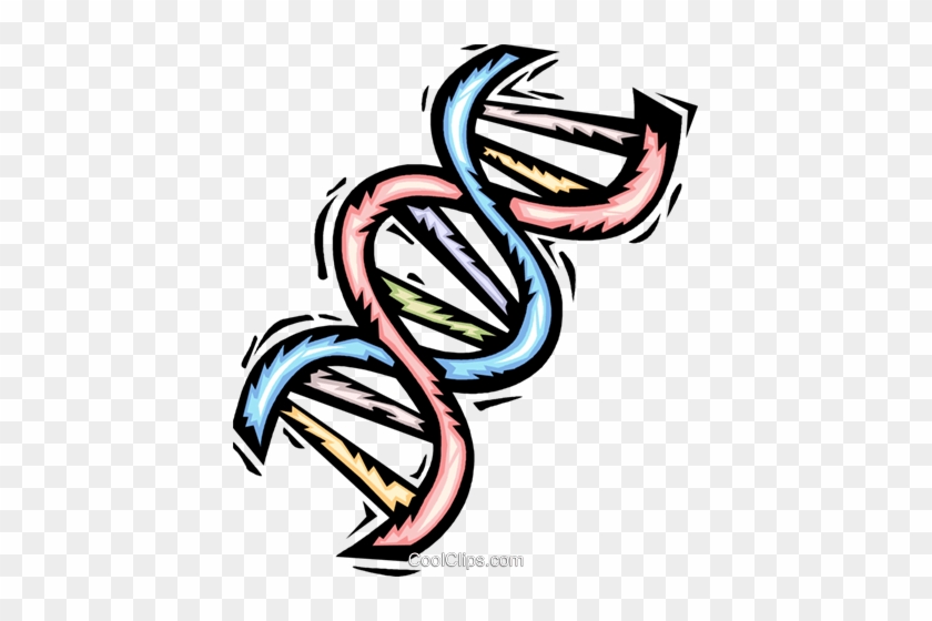 Dna Clipart For Free - Gene Clipart Png #1717009