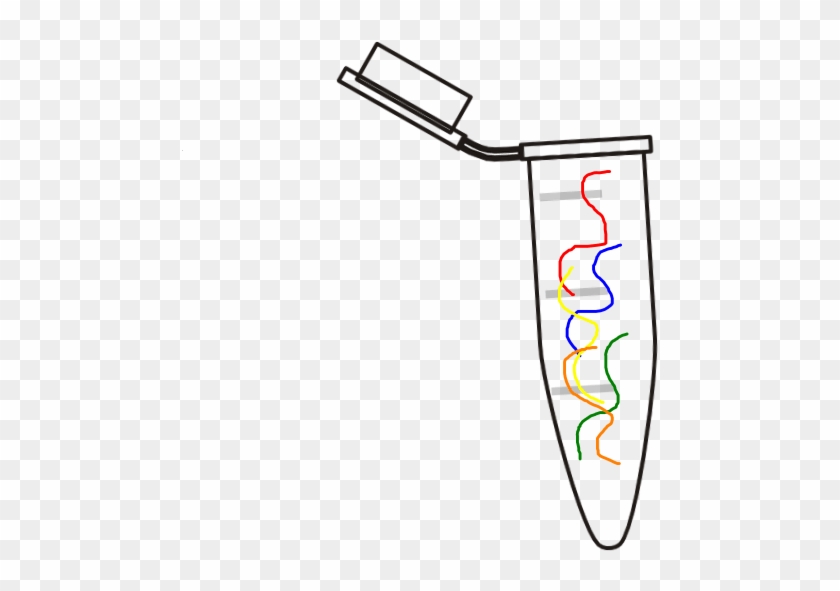 Eppendorf Tube With Open Cap Clip Art At Clker Com - Dna Tube Clipart #1717012