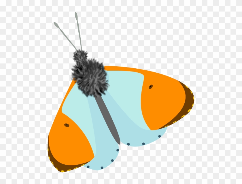 Orange Tip Butterfly - Illustration #1717215