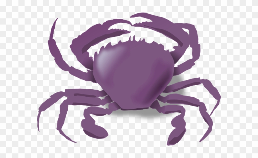 The Crab Vector Clip Art - Animals Live In The Water #1717336