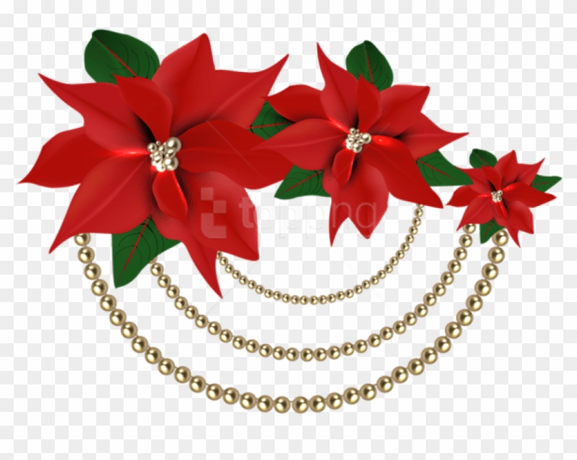 Free Png Decorative Christmas Poinsettias With Pearls - Christmas Flower Png #1717494