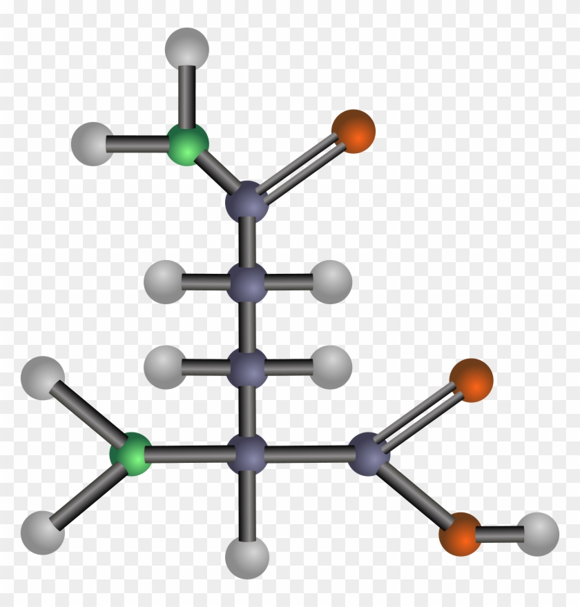 Amino Acids Clipart #1717519