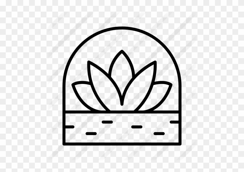 Terrarium Free Icon - Vector Black Lotus #1717578