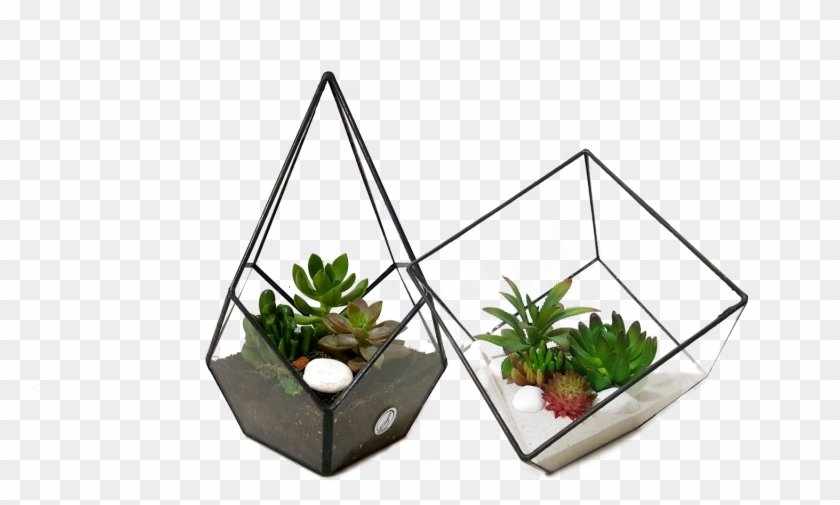 Only Succulents Are Available For Artificial Plants - Flowerpot #1717610