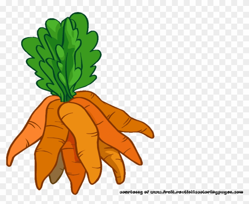 20 Incredible Carrot Vegetables Clipart - Clipart Carrot #1717723